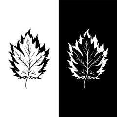  black and white leaf logo, black and white background