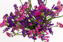Pink And Purple Dry Flowers On A White Background