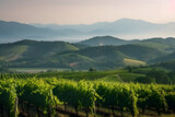 Fototapeta Mapy - Panorama of Vineyards on the Hills With Mountains on Background: AI Generated Image