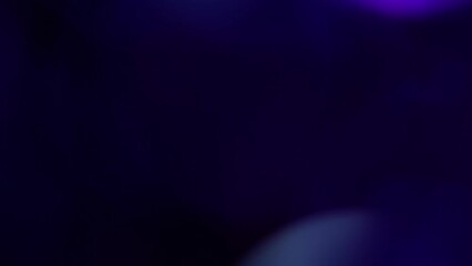 Canvas Print - Colorful Bokeh Overflows On Blue. The shimmering motion of large multicolor unfocused circles in neon blue. An abstract moving background of bright bokeh lights. 4K.