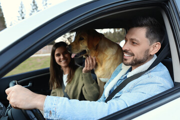 Wall Mural - Happy couple and dog in car. Traveling with pet