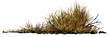 © dottedyeti - desert scene cutout, dry plants isolated on transparent background banner
