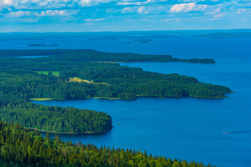 Wall Mural - Panorama view of archipelago at lake Pielinen at Koli national park in Finland