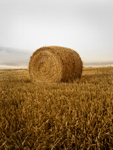 Vertical Shot Of A Round Hay Bale In A Freshly Cut Field