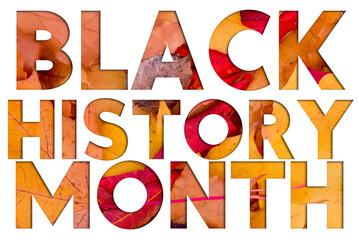 Poster - Autumn leaves, objects with Black History Month text. Natural patterns, color design.