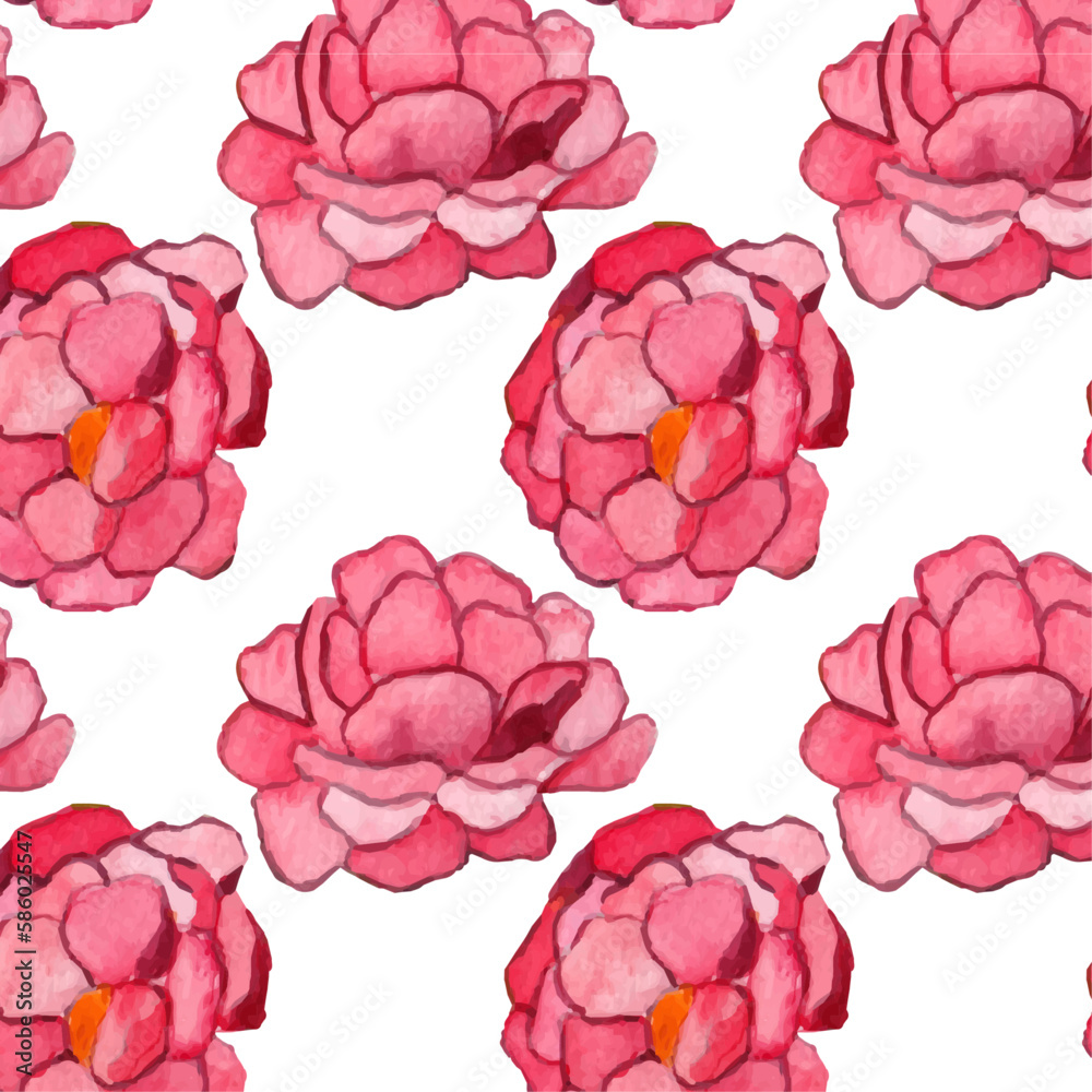 Pink Peonies Watercolor Pattern. Hand drawn pattern with white ...