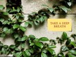 Yellow note on garden climber plant wall with text written TAKE A DEEP BREATH, concept of self-awareness, remind oneself to calm down from stress, stay in present with mindfulness by focus on breath