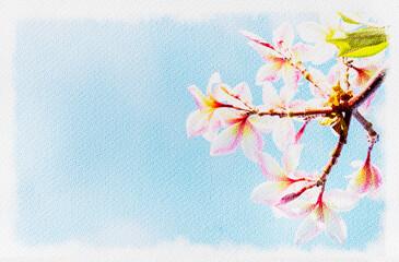 Wall Mural - Abstract watercolor paint of spring season, Plumeria flower over blue sky background