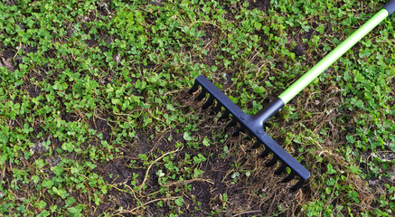 Poster - garden rake with green handle in the garden