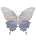 Fototapeta Motyle - Butterfly pastel vintage drawing, butterfly wings