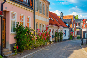 Wall Mural - Traditional colorful street in Swedish town Ystad