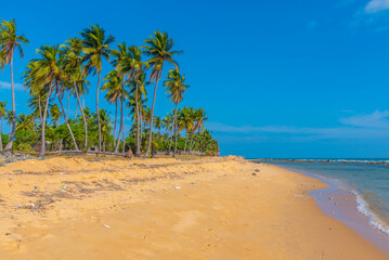 Canvas Print - View of Moorkkam beach at Sri Lanka