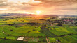 © Mumemories - Sunset over lush green paddy field, farming cultivation in agricultural land at countryside