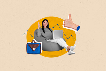 Aufkleber - Creative 3d photo artwork collage painting of confident lady showing okey chatting apple samsung device isolated drawing background