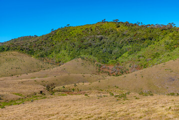 Canvas Print - Natural landscape of Horton Plains national park at Sri Lanka