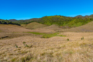 Wall Mural - Natural landscape of Horton Plains national park at Sri Lanka