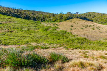 Wall Mural - Natural landscape of Horton Plains national park at Sri Lanka