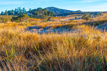 Canvas Print - Natural landscape of Horton Plains national park at Sri Lanka