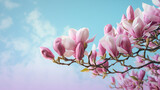 Fototapeta Lawenda - Blooming pink magnolia in the blue sky. Spring. Garden. A beautiful flowering, flowering tree. beautiful blooming branch of magnolia in spring - magnolia flower. Spring flowering. generative ai