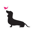 dachshund dog and pink butterfly logo