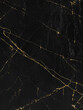 Black and gold marble luxury wall texture with shiny golden line pattern abstract background, Vertical image.