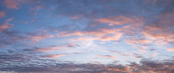 Wall Mural - panorama sunset sky with soft pink and grey clouds