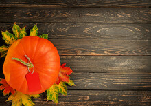 Autumn Background With Pumpkin. Festive Seasonal Sales Concept. Copy Space, Overhead