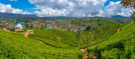 Wall Mural - Panorama view of Nuwara Eliya at Sri Lanka