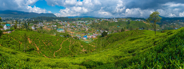 Wall Mural - Panorama view of Nuwara Eliya at Sri Lanka