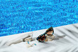 Elegant jewellery set of gold earrings and ring with blue topaz with sunglasses near swimming pool with transparent water as a background. Minimal style composition. Product still life concept