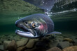 king salmon underwater close-up generated by ai	