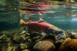 pink salmon underwater close-up generated by ai