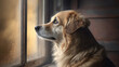 The dog sits by the window and looks out, generative AI