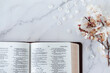 Open holy bible book and beautiful spring tree branch with flowers and petals on white marble table. Top view. Copy space. Studying and reading Christian Scriptures, biblical concept.