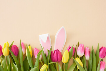 Wall Mural - Easter celebration idea. Top view photo of rabbit bunny ears in pink yellow tulips flowers on isolated beige background with copy space