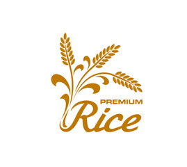 Wall Mural - Rice icon, isolated vector badge with golden spikelets, grains and leaves. Cereal food label for production package. Premium rice groats crop, cultivated plants emblem with graceful inscription