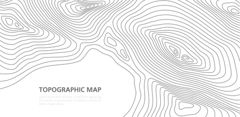topographic map. grid, texture, relief contour. marine topography, ocean or sea travel map vector co