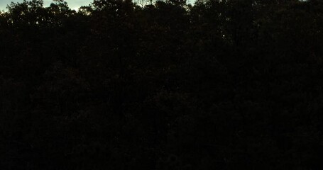 Wall Mural - Aerial Upward Shot Of Forest Trees By Silhouette Of Mountains At Sunset - Little Rock, Arkansas
