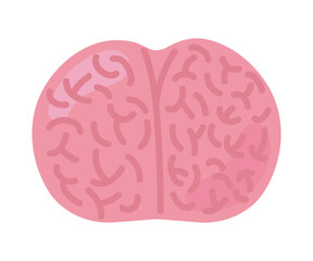 Wall Mural - brain icon isolated