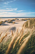 Coastal Landscape in northern Denmark. High quality photo