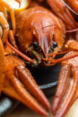 River boiled crayfish. Red cooked crayfish. Plate with crayfish.