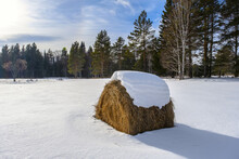 Snow Covered Hay Bale On A Frosty Winter Day