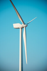 Wind turbine generator for renewable electricity production