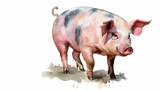 Fototapeta  - Wasserfarben Schwein, gezeichnet, generative AI