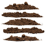 Fototapeta Tulipany - Set pile of soil