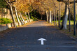 © yaqui_villegas - arrow indicating the direction on a country road with trees in autumn