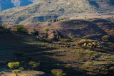 Fototapeta  - Mountain landscape northen Ethiopia Africa
