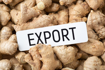 Paper with inscription Export on ginger roots. Concept of trade of ginger roots