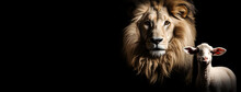 Löwe Mit Einem Lamm Vor Schwarzem Hintergrund, Generative KI