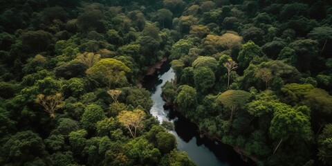 Poster - View from the height of the river among the green forest.Aerial view. Panoramic shot. Generative AI